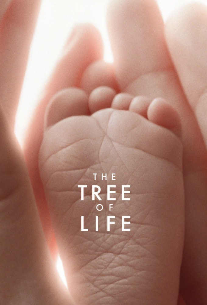 Image de The Tree of Life (2011)