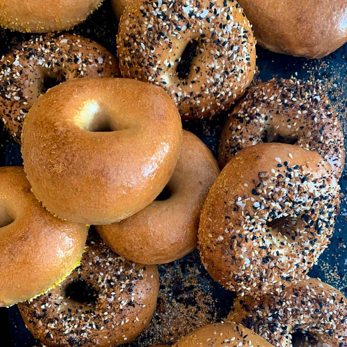 Image de Bagel (New York)