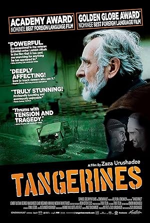 Image de Tangerines (2013)