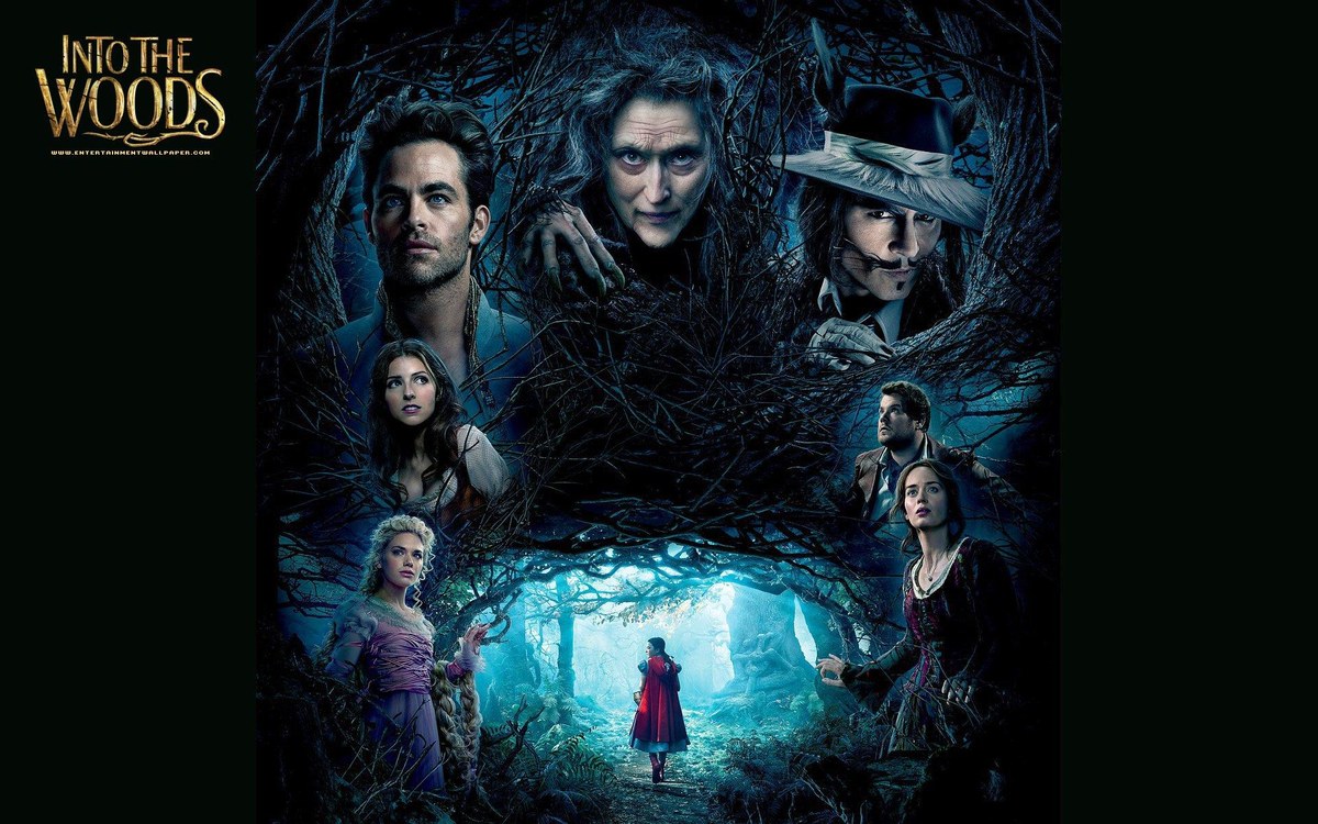 Image de Into the Woods (2014)