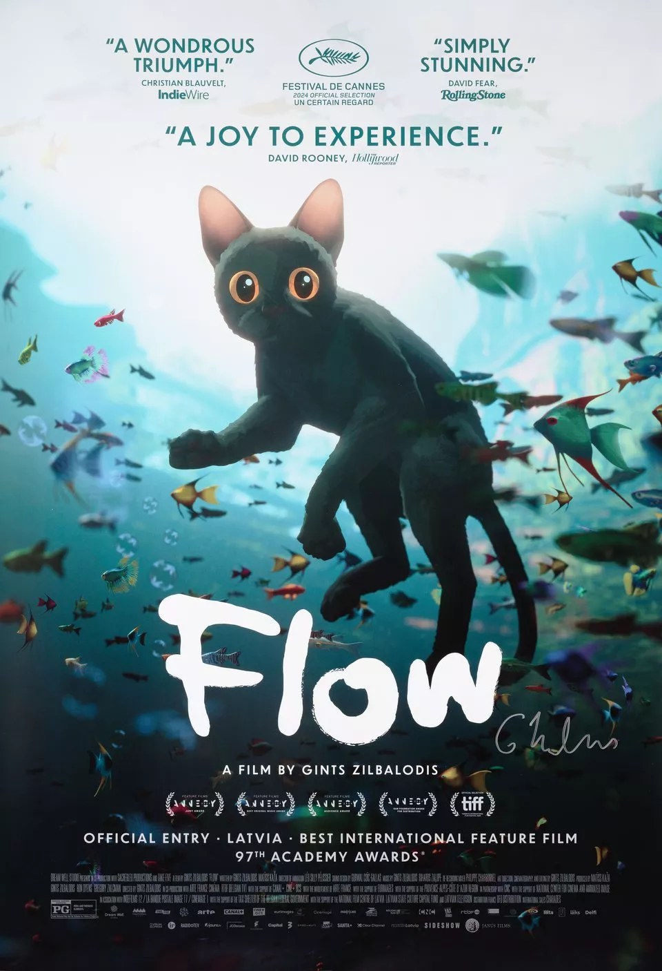 Image de Flow, le chat qui n'avait plus peur de l'eau