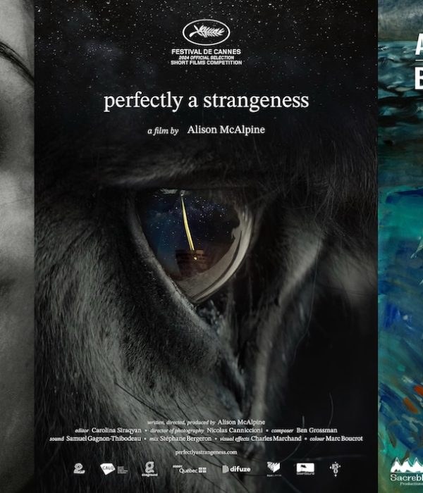 Image de Perfectly a Strangeness (2025)
