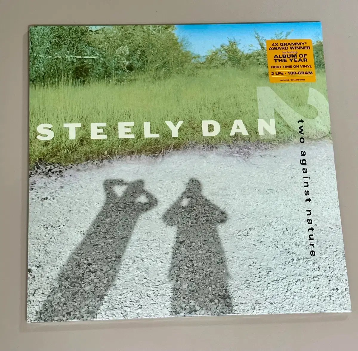 Image de Two Against Nature (Steely Dan)