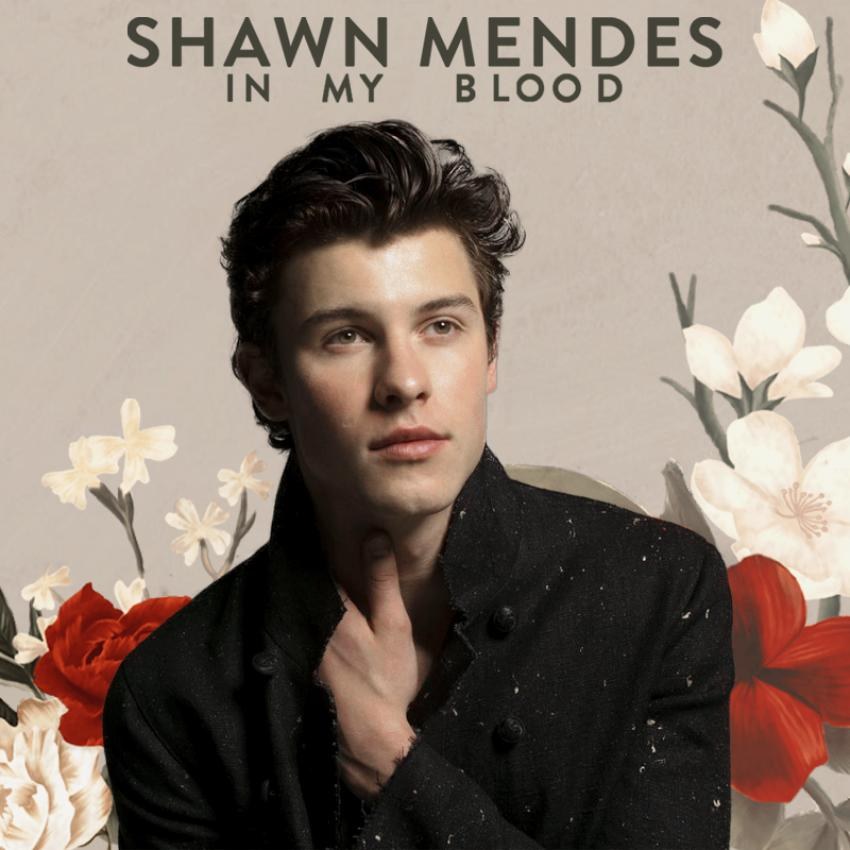 Image de In My Blood (Shawn Mendes)