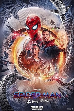 Image de Spider-Man : No Way Home (2021)
