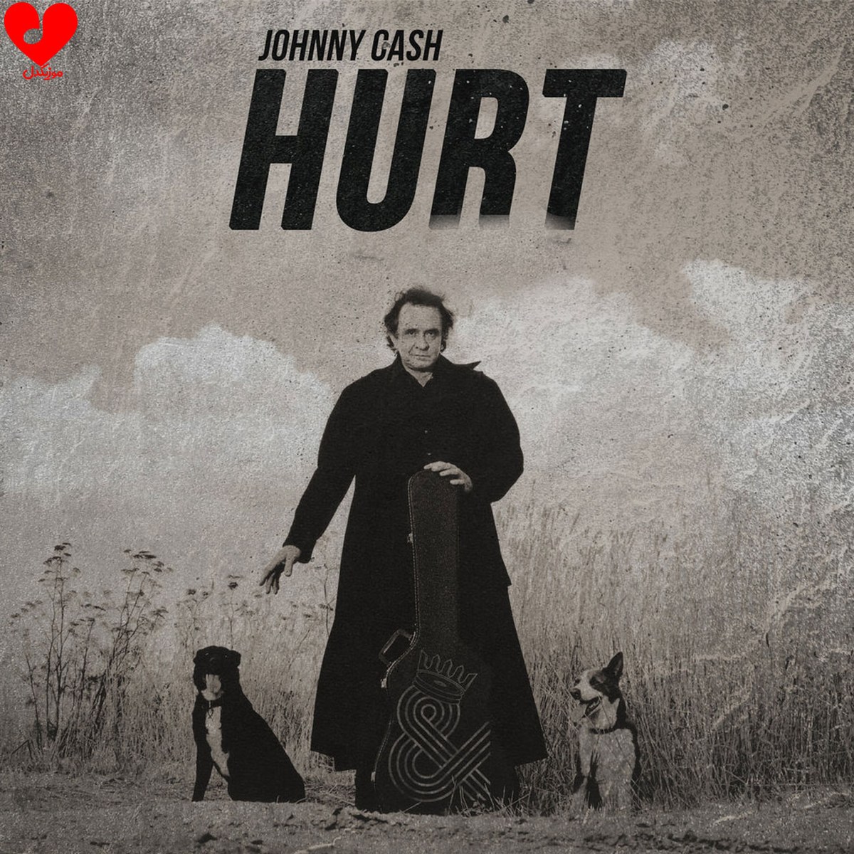 Image de Hurt (Johnny Cash)