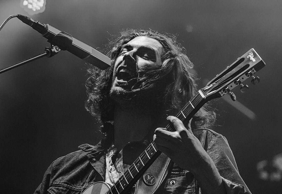 Image de Hozier