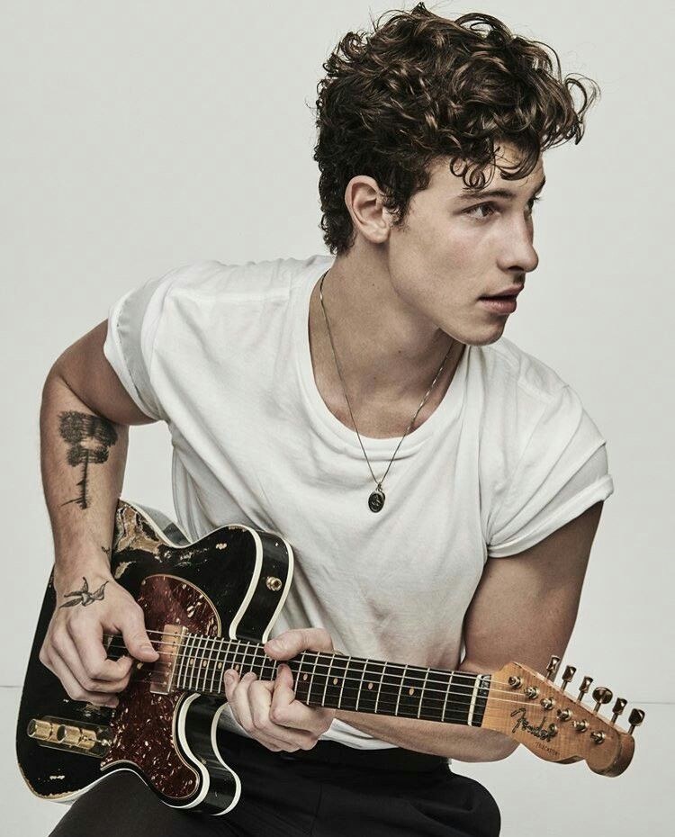 Image de Shawn Mendes