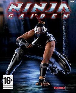 Image de Ninja Gaiden Black