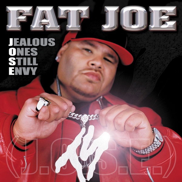Image de Fat Joe