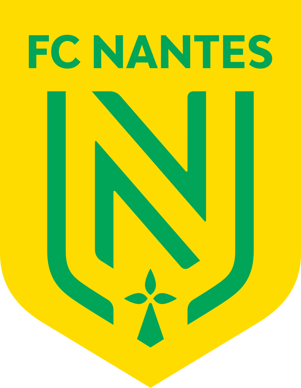 Image de FC Nantes
